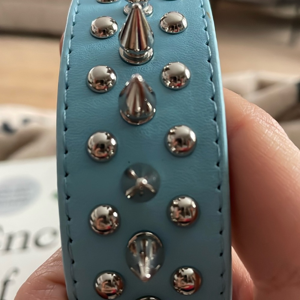Light Blue Collar